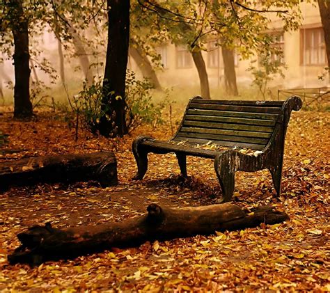 Park Bench Wallpapers Wallpaper Cave