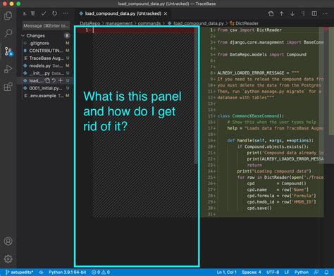 How To Get Rid Of An Empty Panel In Visual Studio Code Stack Overflow