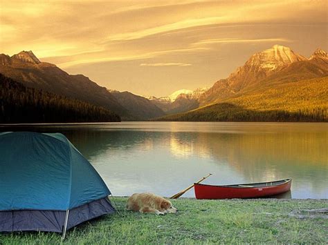 Inspirasi Populer Camping Nature Info Spesial