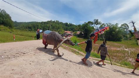 Ritus Mapasa Tedong Pada Upacara Adat Rambu Solo Toraja