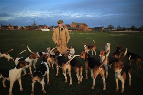 Atherstone Hunt Celebrates It’s 200th Anniversary