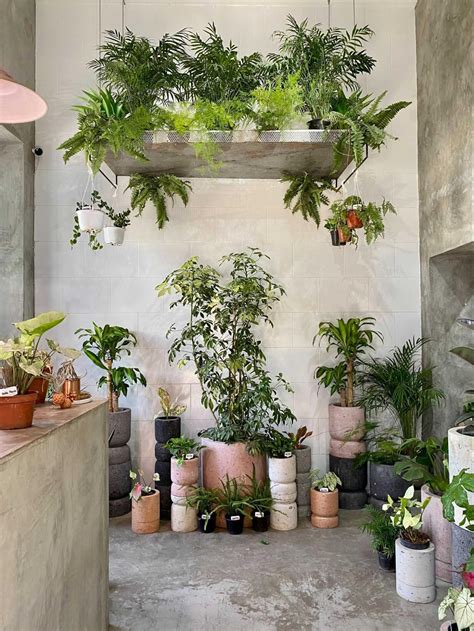 Flower Shop Interiors, Plant Display Ideas, Store Layout, Retail