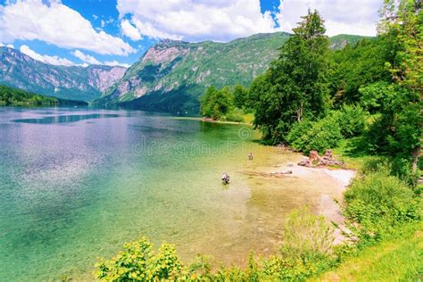Scenery On Bohinj Lake Of Slovenia Nature Stock Image Image Of