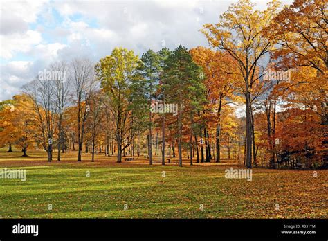 Cleveland Metropark Fall Foliage Hi Res Stock Photography And Images