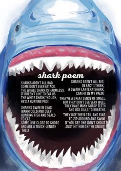 shark poem  ashleigh vilk teachers pay teachers