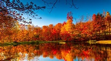Where and when to see fall foliage across the US this year - The Points Guy