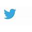 Twitter Relooke Son Oiseau Et Fait Disparaître La Lettre T De Logo