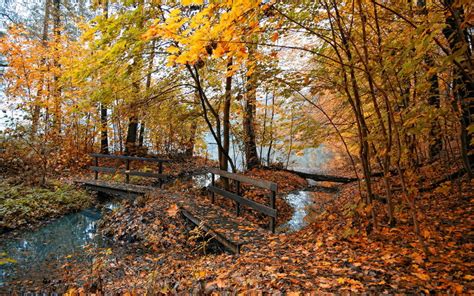 Fall Leaves Old Creek Bridge Wallpaper Download To Your Mobile From