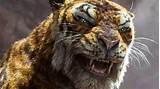 27 (glass, the lego movie 2, happy death day 2u, how to train your dragon 3, a madea family funeral, no manches frida 2, the curse 2019 movies based on comic books: MOWGLI Trailer (2018) The Jungle Book - YouTube