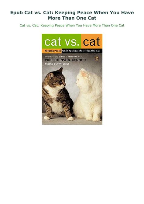 Epub Cat Vs Cat Keeping Peace When You Have More Than One Cat Cats