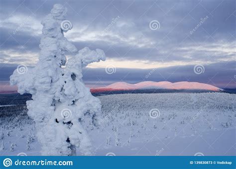 Pallas National Park Finland Stock Image Image Of Lapland National