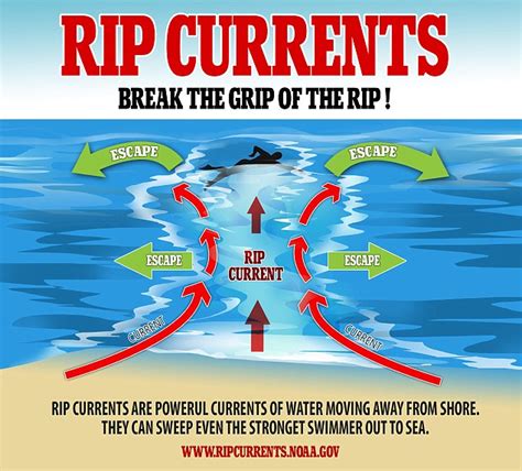 Could You Escape A Killer Riptide Experts Explain How To Break The