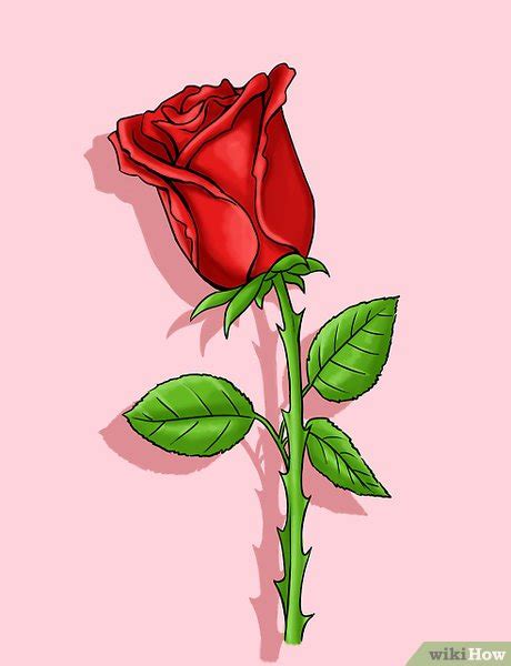 Comment Dessiner Une Rose Avec Images Wikihow