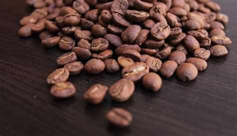 mengenal jenis jenis kopi budidaya terengkap