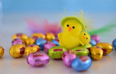 Wallpaper Colorful Easter Chick Easter Chick Chocolate Eggs Images