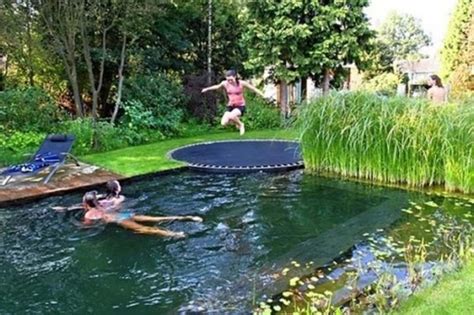 How To Build Your Own Natural Swimming Pool How To Instructions