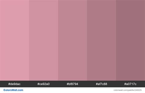 Faded Pink Shades Colors Palette Colorswall