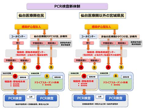 This pcr introduction will demonstrate that pcr is a fundamental technique used to amplify fragments of dna, frequently using the taq polymerase to. 【宮城】PCR検査が受けられない!なぜ!？ | ページ 2 | セミヤログ