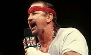 Terry Funk Age, Net worth: Bio-Wiki, Kids, Wife, Weight 2023| The Personage