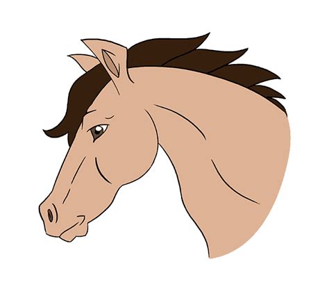 How To Draw Horse Head Step 20 Horse Drawings Guided Drawing Horse