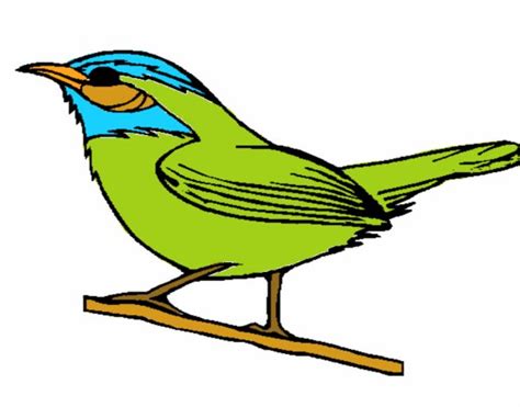 Dibujo De Pájaro Silvestre Pintado Por En El Día 01 02 16 A