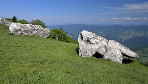 Spruce Knob West Virginias Highest Point