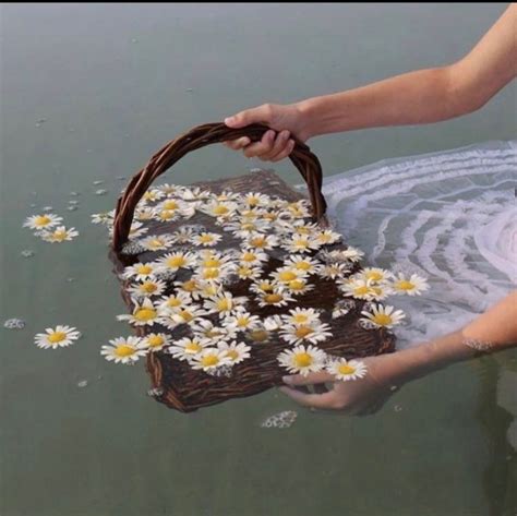 Flowers In Water Aesthetic References Mdqahtani