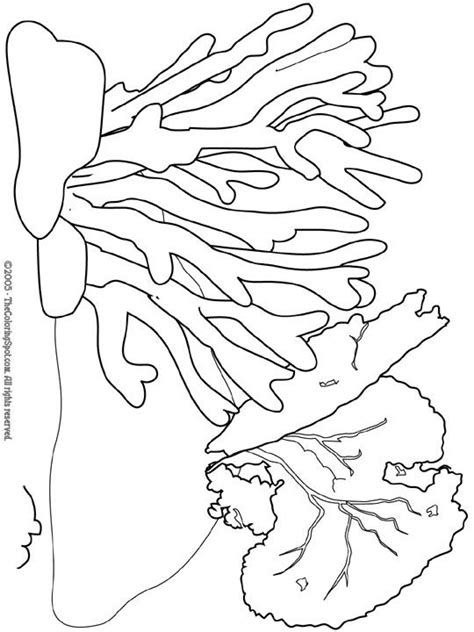 Pantone made living coral their color of the year for 2019, to provide a needed sense of optimism. Coral Reef Coloring Pages | Coral | Free printable ...