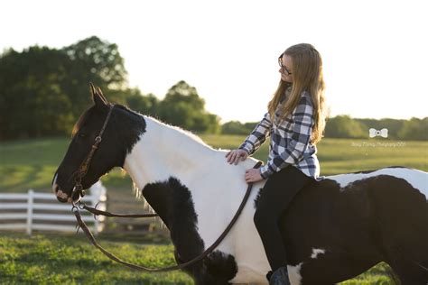 Pin On Equine Sessions