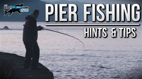 Fishing From A Pier Rigs Tips And Tactics Tafishing Fish Web