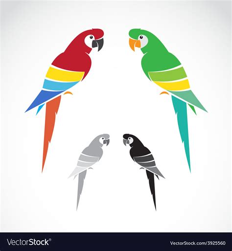 Image A Parrot Royalty Free Vector Image Vectorstock