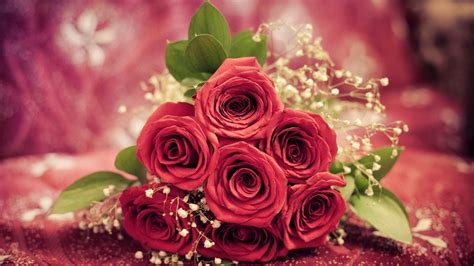 Roses Bunch Wallpaper High Definition High Quality Widescreen