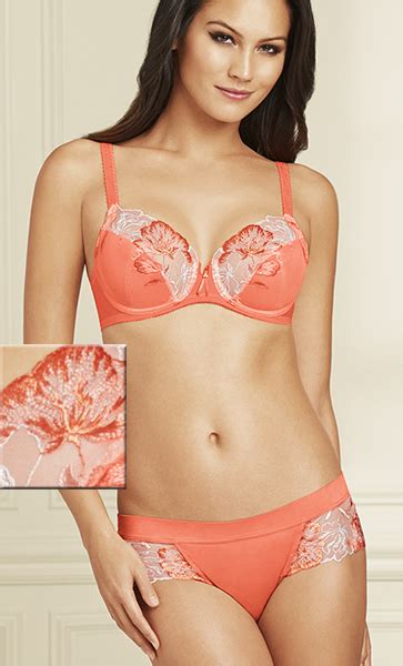 Wacoal Blooms ~ 30 Years And Counting Lingerie Briefs ~ By Ellen Lewis