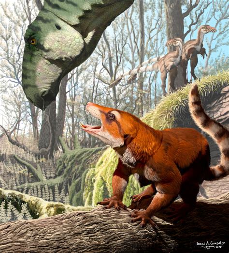 Fossil Skull From Utah Sheds Light On Primitive Mammal Group By Reuters