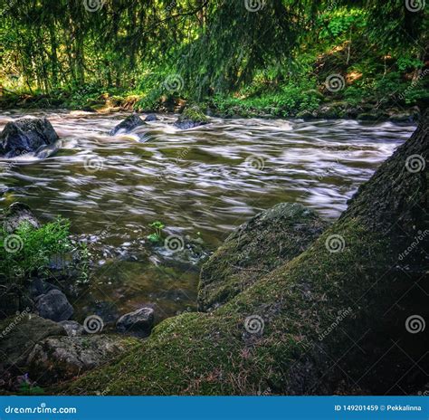 Beautiful Streaming River And Forest Scene Stock Image Image Of Moss