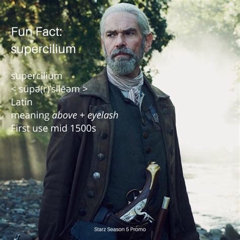 Fun Fact Supercilium Outlander Anatomy