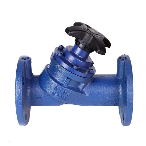 Cast Iron Double Reg Valve With 2 Test Points Pn16 China Valve And