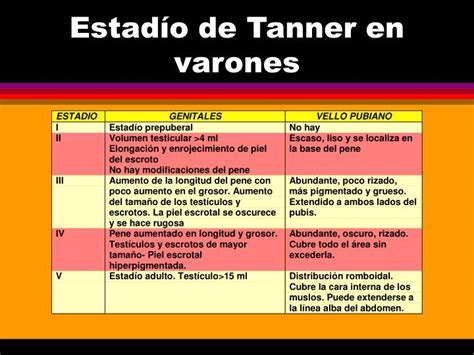 Estadios De Tanner