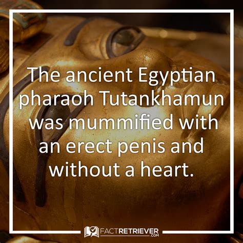 50 interesting facts about mummies king tut facts egypt mummy facts