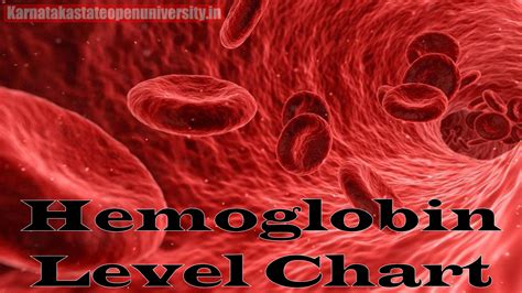 Hemoglobin Level Chart Low Normal High Levels For Adults And Children