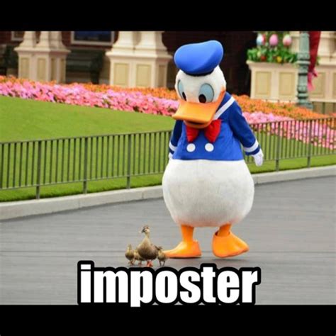Animal Comedy Donald Duck Animal Comedy Animal Comedy Funny