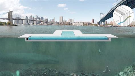 Floating Public Pool That Filters New Yorks East River Seeks Crowdfunding The Verge