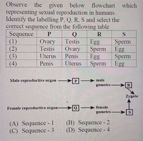 Observe The Given Below Flowchart Which Representing Sexual Reproduction