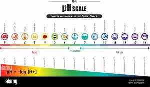 The Ph Scale Universal Indicator Ph Color Chart Diagram Acidic Alkaline