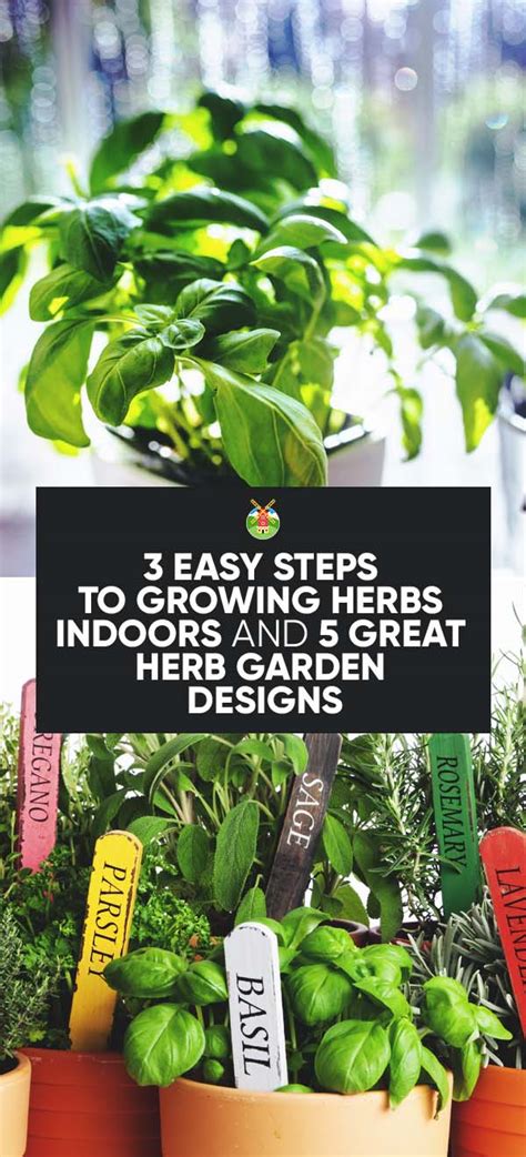 3 Easy Steps To Growing Herbs Indoors And 5 Great Herb Garden Designs Pin