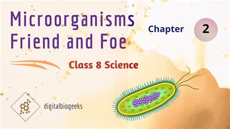 Microorganisms Friend And Foe Class 8 Science Chapter 2 Youtube