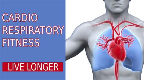 Cardiorespiratory Fitness 2020 Youtube