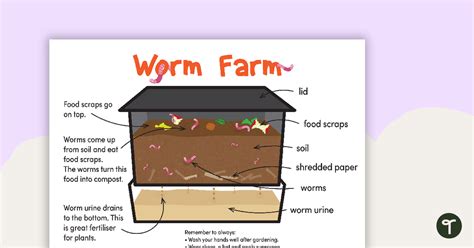 Worm Farm Poster Pack Teach Starter