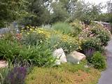 Landscaping Xeriscape Ideas Images