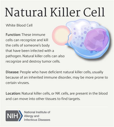 Natural Killer Cell Function Relationship To Disease And Location In